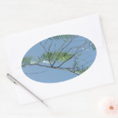 Stickers Labels (Envelop)