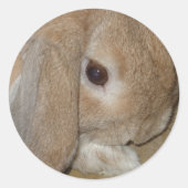 Stickers - Lop Eared Dwarf Rabbit (Voorkant)