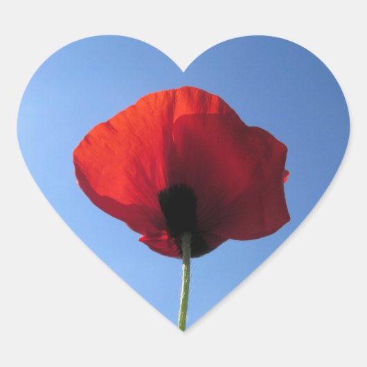 Stickers - Memorial Day Red Poppy Blue Sky (Voorkant)