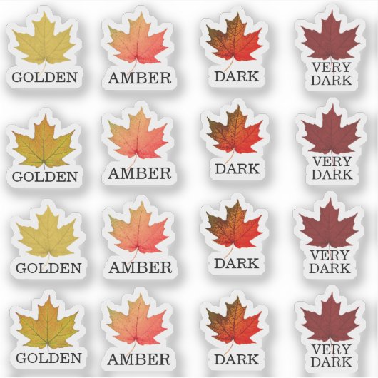 Stickers met gekleurde lederen mantel (Voorkant)