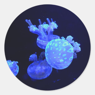 Stickers met gepotte lagoon Jelly #1