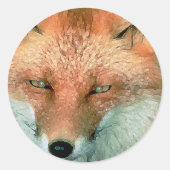 Stickers met gestyliseerde vos (Voorkant)