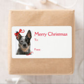 Stickers met kerstcadeaus voor rundveestapel (Insitu)