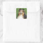 stickers met lachende Sheltie (Tas)