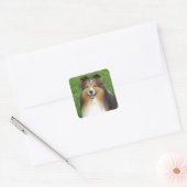 stickers met lachende Sheltie (Envelop)