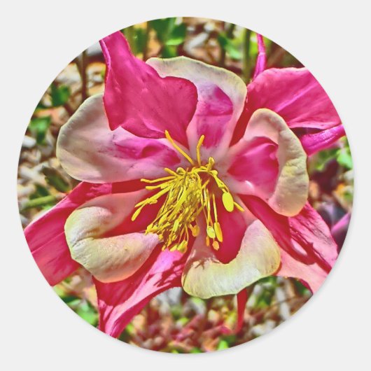 Stickers met roze columbine (Voorkant)