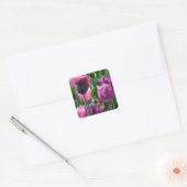 Stickers met roze en Paarse tulpen (Envelop)