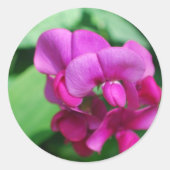 Stickers met snoepgoed (Voorkant)