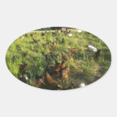 Stickers met vrije uitloop (Voorkant)