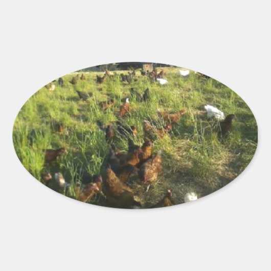 Stickers met vrije uitloop (Voorkant)