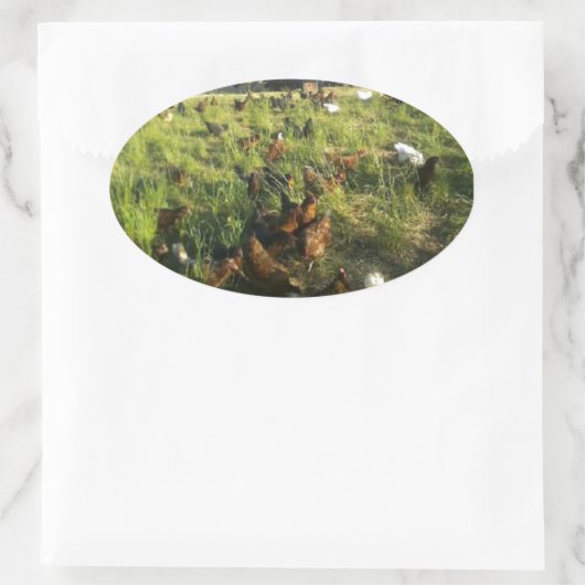 Stickers met vrije uitloop (Tas)