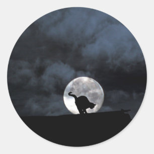 Stickers met zwarte kat-halloween