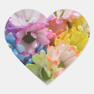 Stickers - Multi-Colored Daisies II