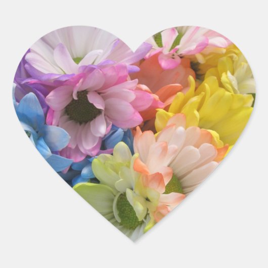 Stickers - Multi-Colored Daisies II (Voorkant)