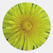 Stickers - Paardenbloem (Voorkant)