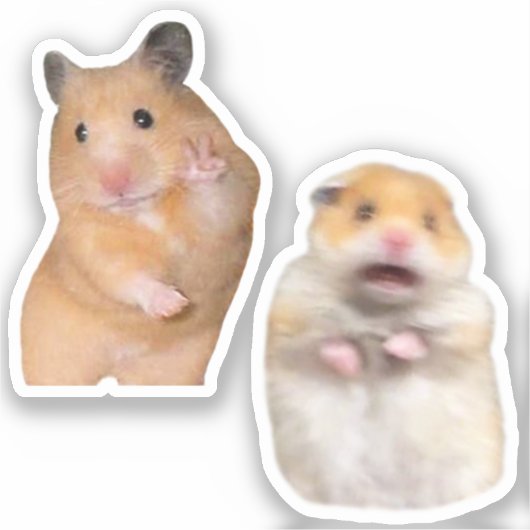 Stickers Peace + Scared Hamster Meme (Voorkant)