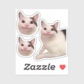 Stickers Polite Cat Meme (Vel)