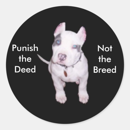 Stickers/rassen Ronde Sticker (Voorkant)