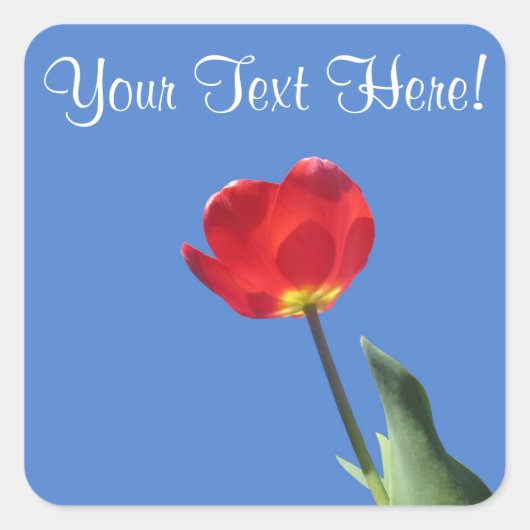 Stickers - Red Tulip Blue Sky 2 (Voorkant)