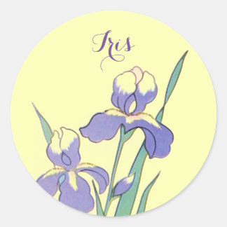 Stickers Ronde Dot Iris gepersonaliseerde aangepas