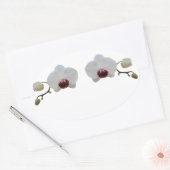 Stickers - Roodbaarse witte orchidee (Envelop)