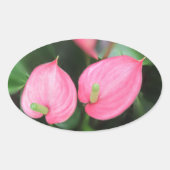 Stickers - Roze tweeling van het Anthurium (Voorkant)