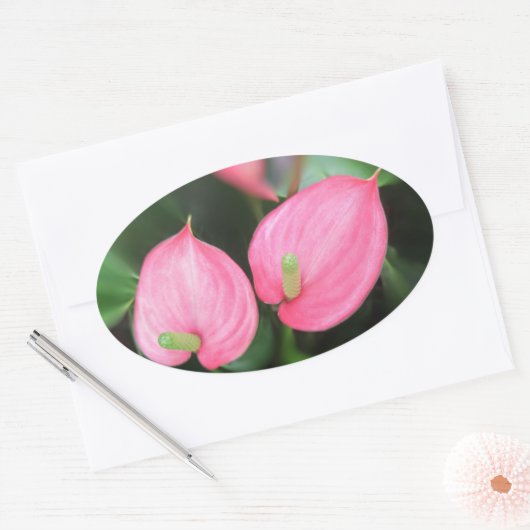 Stickers - Roze tweeling van het Anthurium (Envelop)