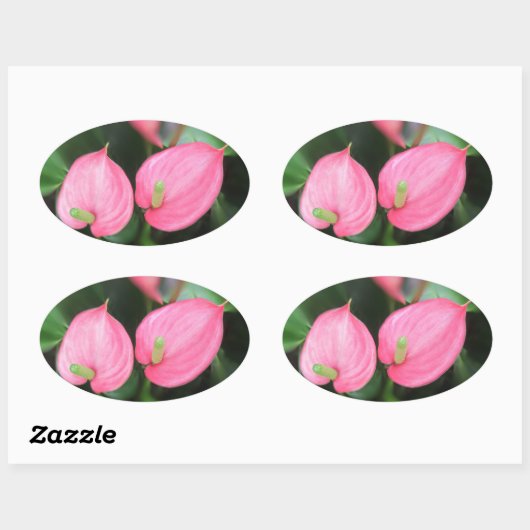 Stickers - Roze tweeling van het Anthurium (Vel)