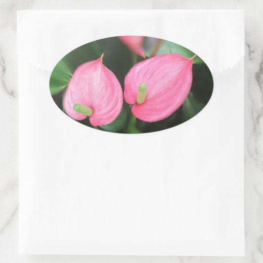 Stickers - Roze tweeling van het Anthurium (Tas)
