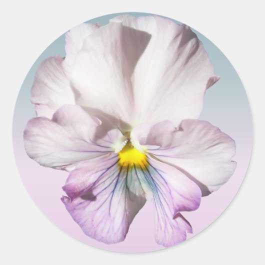 Stickers - Ruffled Lavender Pansy (Voorkant)