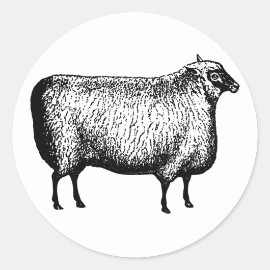 Stickers schapen (Voorkant)