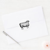 Stickers schapen (Envelop)