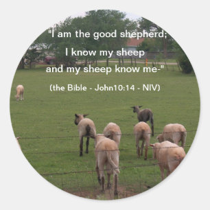 Stickers/schapen Ronde Sticker