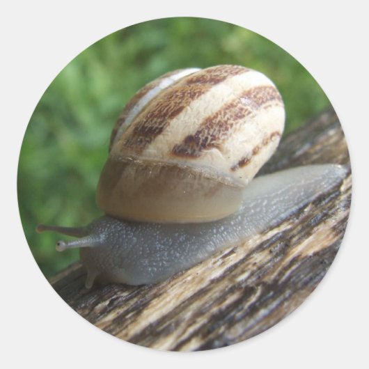 Stickers slakken (Voorkant)