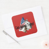 stickers tegen Trump (Envelop)