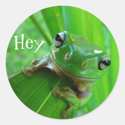Stickers van boomkikker (Voorkant)