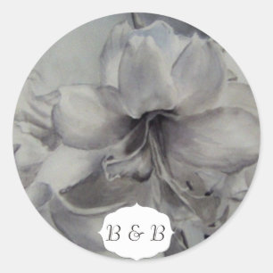 STICKERS VAN DE AMARYLLIS-WATERVERF