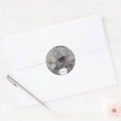 STICKERS VAN DE AMARYLLIS-WATERVERF (Envelop)