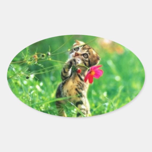 Stickers van de Ovale Keukenvorm (Voorkant)