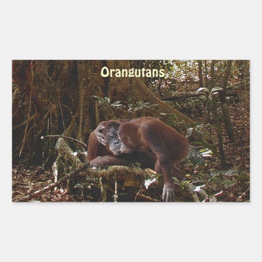 Stickers van de Primaat van orangoetans & van de (Voorkant)