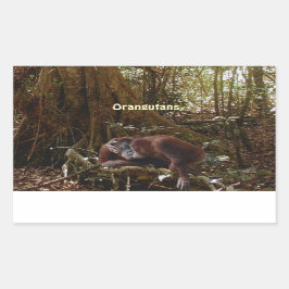 Stickers van de Primaat van orangoetans & van de