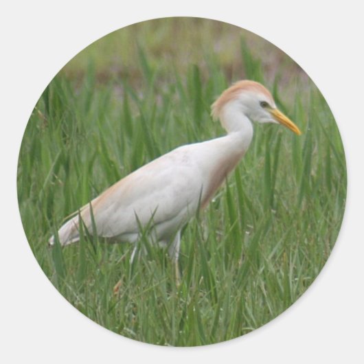 Stickers van de Rundveestooi (Voorkant)