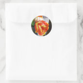 Stickers van de zijde (Tas)