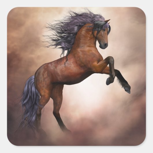 stickers van fokpaarden (Voorkant)