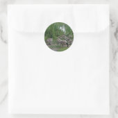 Stickers van ganzen en van goslings (Tas)