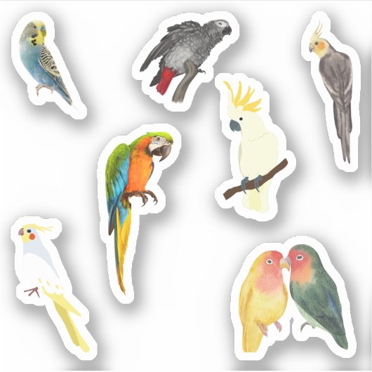 Stickers van gezelschapsvogels (Voorkant)