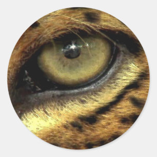 Stickers van jaguar Eye bedreigde diersoorten