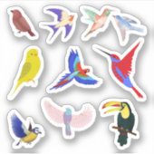 Stickers van kleurrijke vogels (Voorkant)