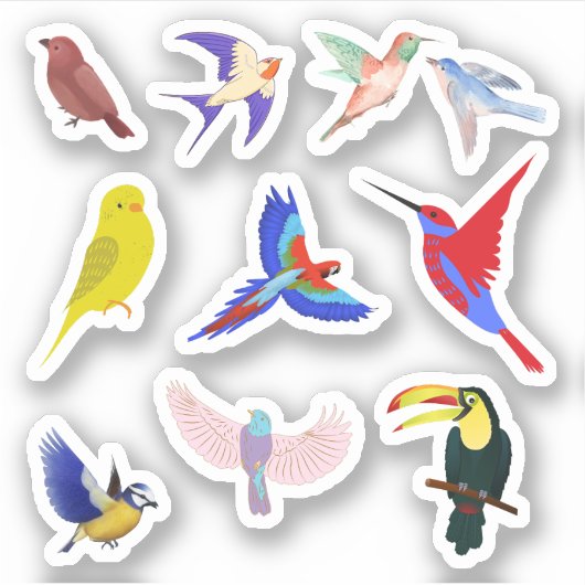 Stickers van kleurrijke vogels (Voorkant)