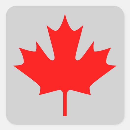 Stickers van leder (Voorkant)